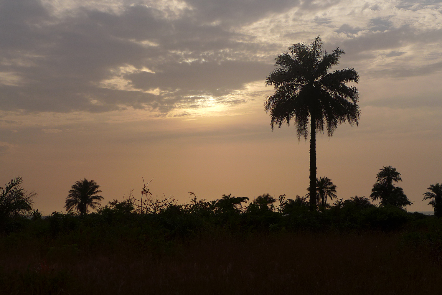 Vue depuis le gîte Tomboliya Village au coucher du soleil.