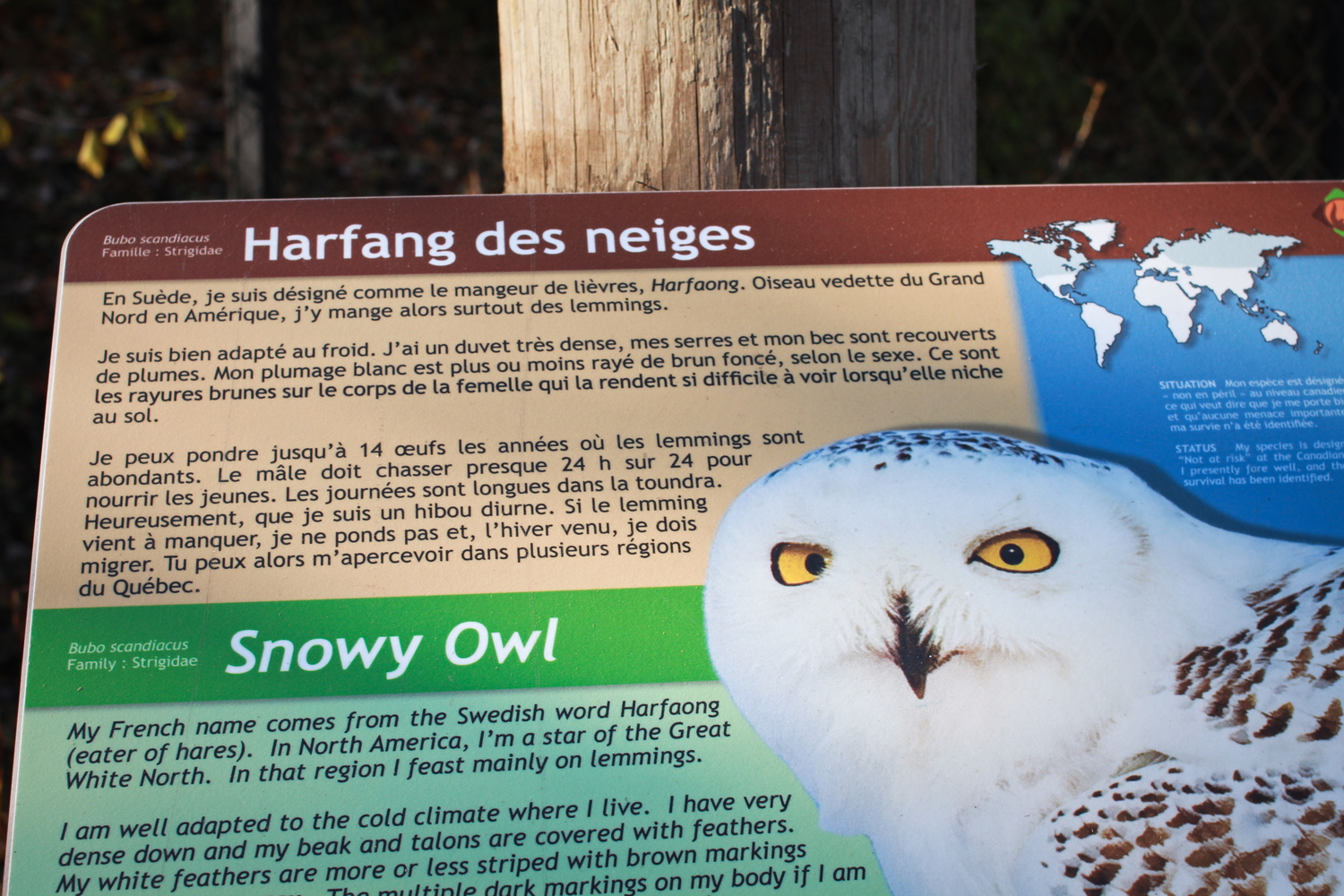 Panneau explicatif sur le harfang des neiges © Globe Reporters