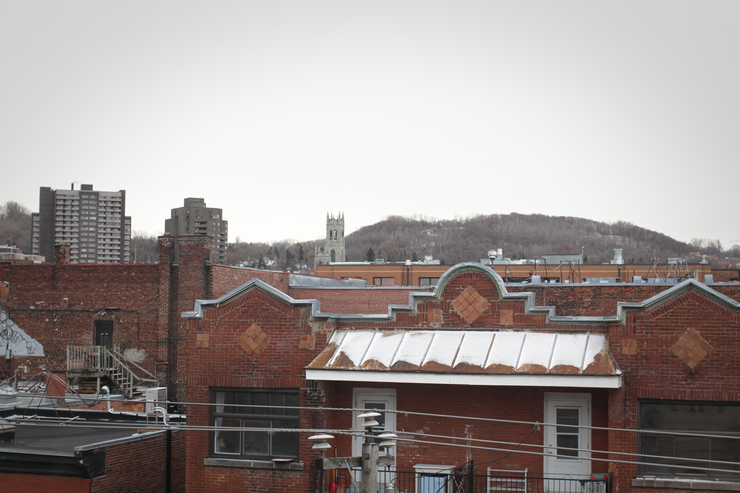 Vue du 2ème étage du Collège sur le versant sud du Mont Royal.