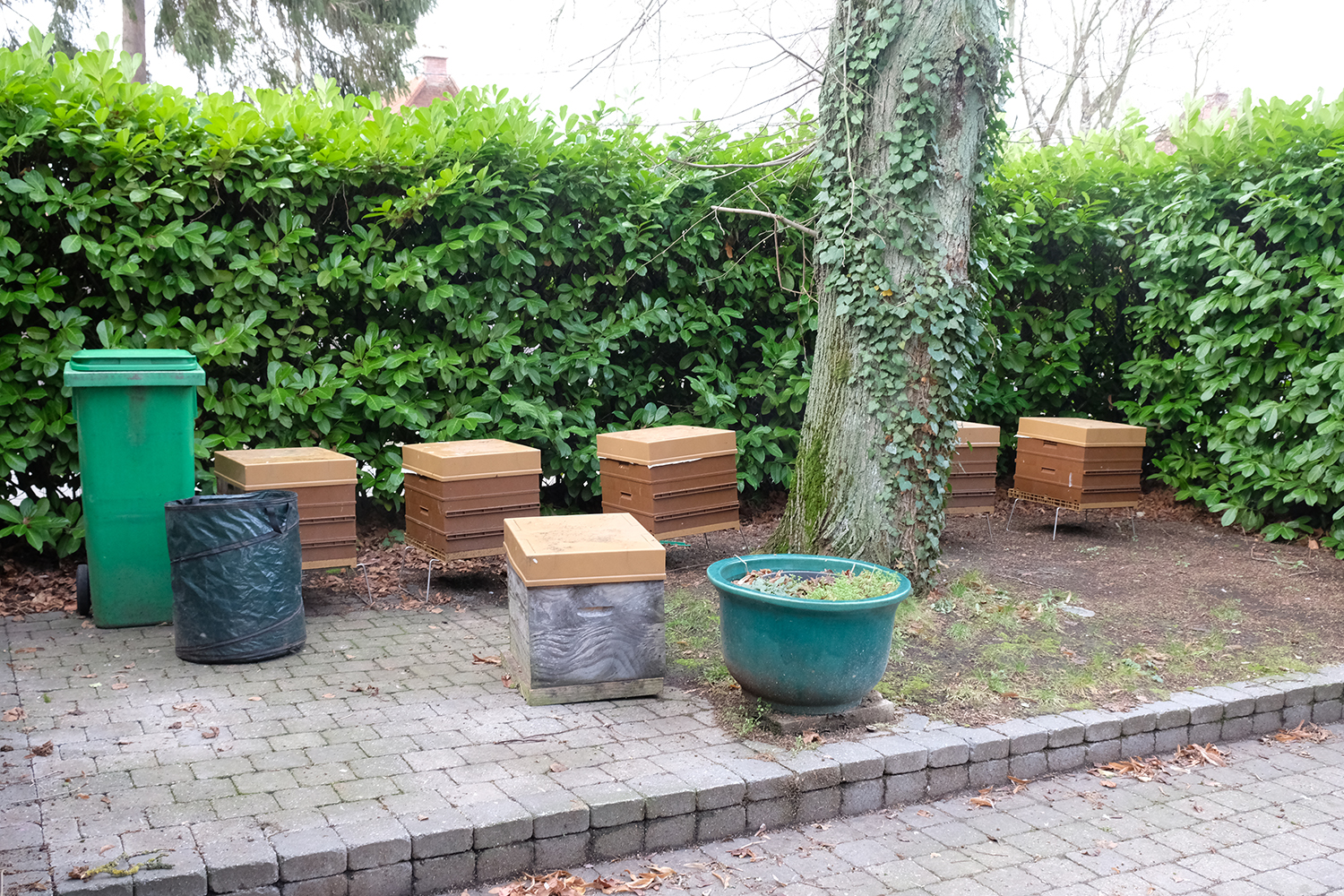 Dans son jardin, l’apiculteur dispose d’un petit ruché.