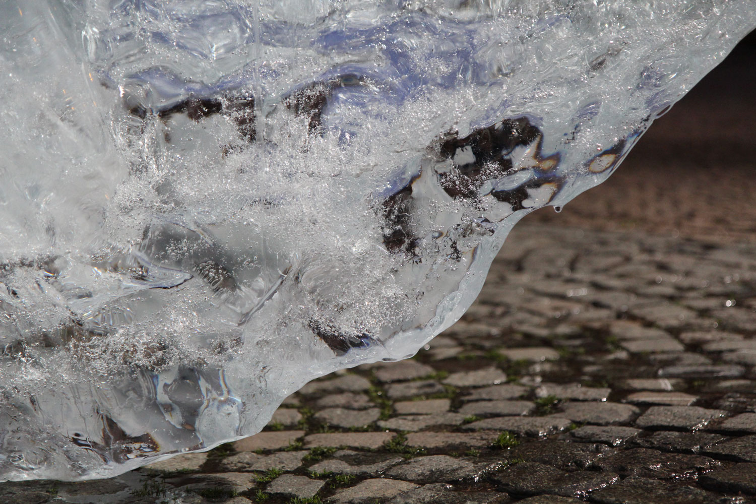 Sur les pavés de la place du Panthéon, la glace de la banquise fond lentement. Crédit Valérie Rohart