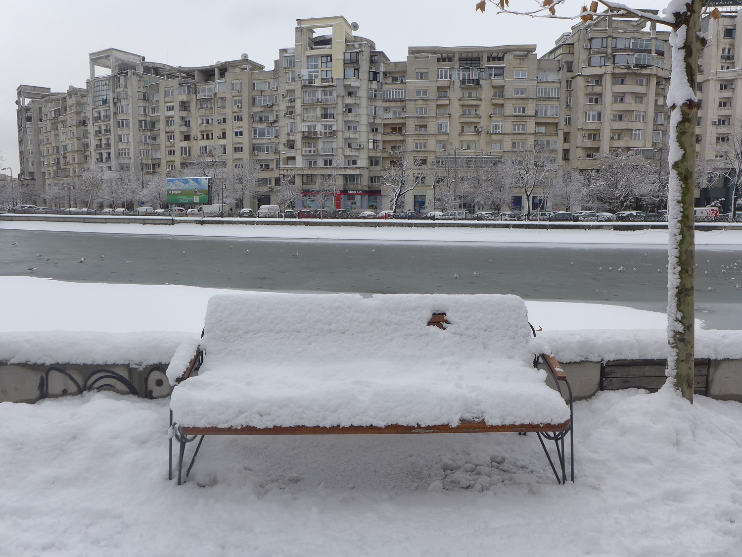 Pas facile de s’assoir sur ce banc.